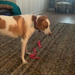 Meet your Posher, Braden